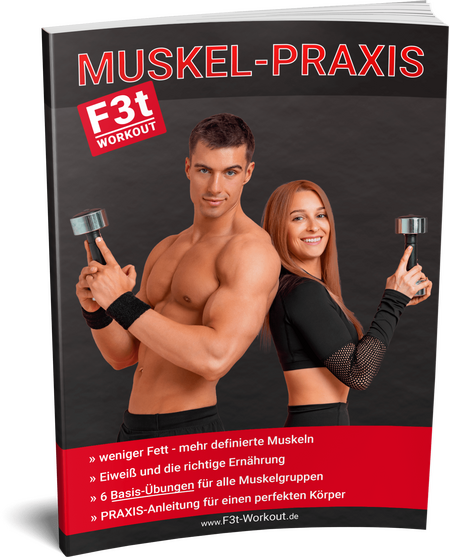 Muskelaufbau-Fettverbrennung