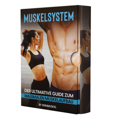 muskel-guide